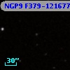 NGP9 F379-1216774