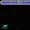 NGP9 F379-1283683