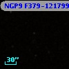 NGP9 F379-1217997