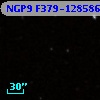 NGP9 F379-1285869