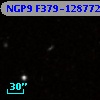 NGP9 F379-1287723