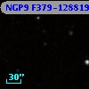 NGP9 F379-1288193