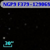 NGP9 F379-1290683