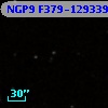 NGP9 F379-1293397