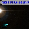 NGP9 F379-1016472