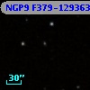 NGP9 F379-1293630