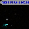 NGP9 F379-1162766