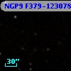 NGP9 F379-1230787