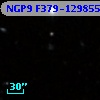 NGP9 F379-1298555