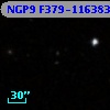 NGP9 F379-1163830