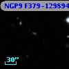 NGP9 F379-1298943