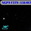 NGP9 F379-1164875