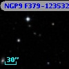 NGP9 F379-1235325