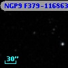 NGP9 F379-1168637
