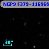 NGP9 F379-1168683