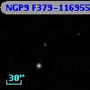 NGP9 F379-1169557
