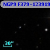 NGP9 F379-1239198
