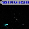 NGP9 F379-1028958