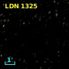 LDN 1325