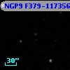 NGP9 F379-1173568