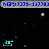 NGP9 F379-1177033