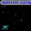 NGP9 F379-1177162