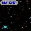 RRF 1247