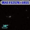 IRAS F12576+1855