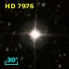 HD   7976