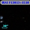 IRAS F13013+1510
