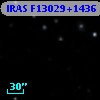 IRAS F13029+1436