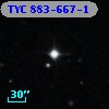 TYC  883-667-1