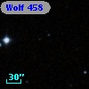 Wolf  458