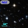 NGC  7686    37