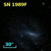 SN 1989F