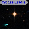 TYC  291-1176-1