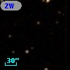 ZW VIII 241