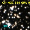 Cl* NGC  559    GRU       9
