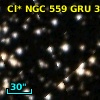 Cl* NGC  559    GRU      31