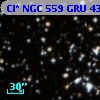 Cl* NGC  559    GRU      43