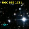 NGC   559  1181