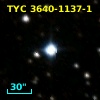 TYC 3640-1137-1
