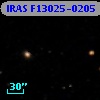 IRAS F13025-0205