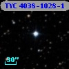 TYC 4038-1028-1