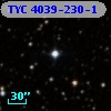 TYC 4039-230-1