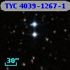 TYC 4039-1267-1