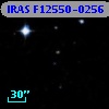 IRAS F12550-0256
