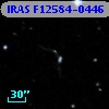 IRAS F12584-0446