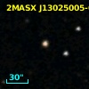 2MASX J13025005-0600239
