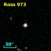 Ross  973